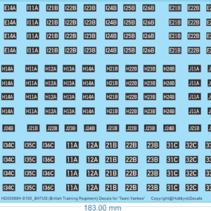 BATUS (British Training Regiment) Decals for 'Team Yankee' - 1/100 - Water Decal